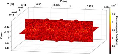 On the Numerical Determination of the Density and Energy Spatial Distributions relevant for in-Plasma β-Decay Emission Estimation